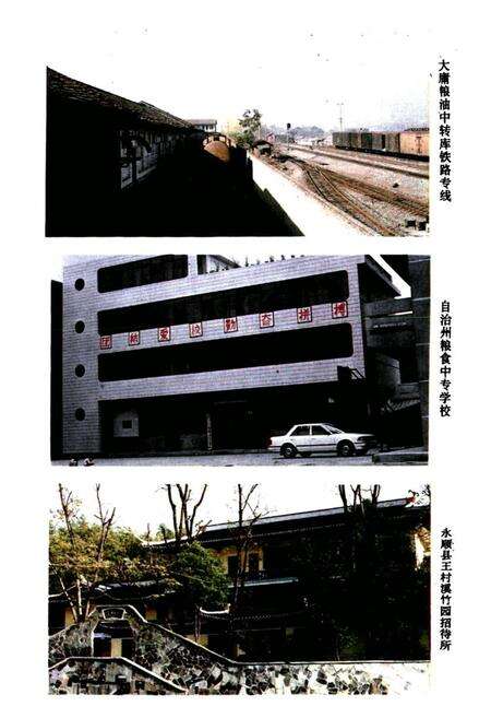 《粮食贸易志》.pdf电子版_湖南省志预览图4