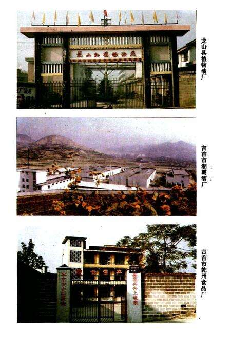 《粮食贸易志》.pdf电子版_湖南省志预览图5