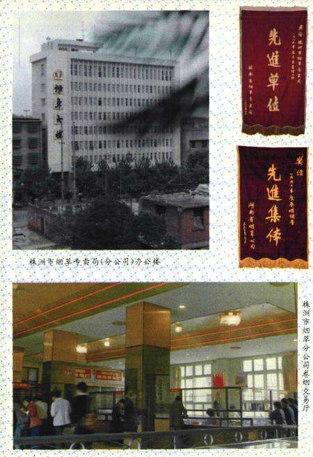 《株洲市烟草志》.pdf电子版_湖南省志预览图5