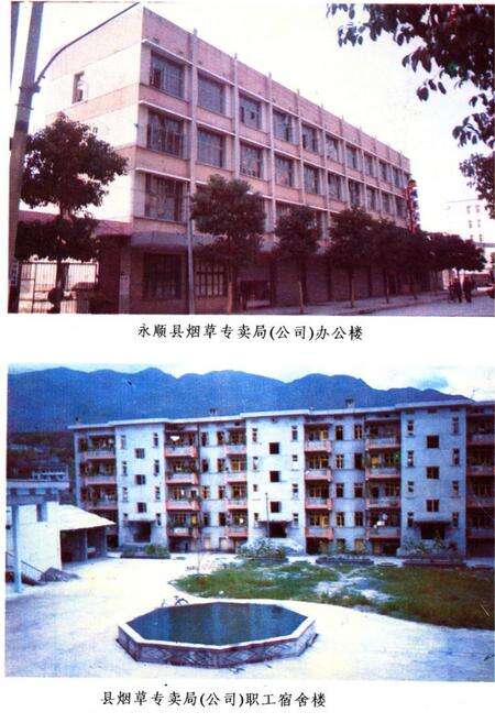 《《湖南省永顺县烟草志》》.pdf电子版_湖南省志预览图3