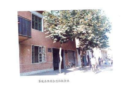 《茶陵县供销合作社志》.pdf电子版_湖南省志预览图4