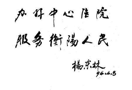 《衡阳市第二医院志1902-1989》.pdf电子版_湖南省志预览图5