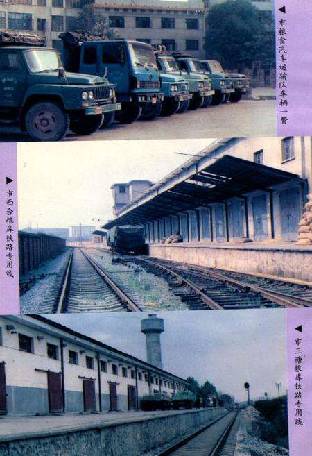 《衡阳市粮油志》.pdf电子版_湖南省志预览图5