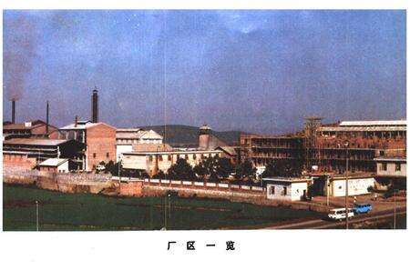 《东安铁合金厂志 第一卷(1984-1987)》.pdf电子版_湖南省志预览图5