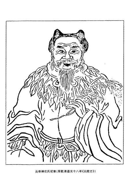 《炎陵县药志1756-1999》.pdf电子版_湖南省志预览图5