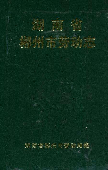 《湖南省郴州市劳动志》.pdf电子版_湖南省志缩略图