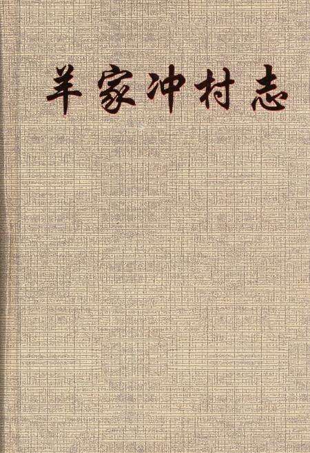 《羊家冲村志》.pdf电子版_湖南省志缩略图