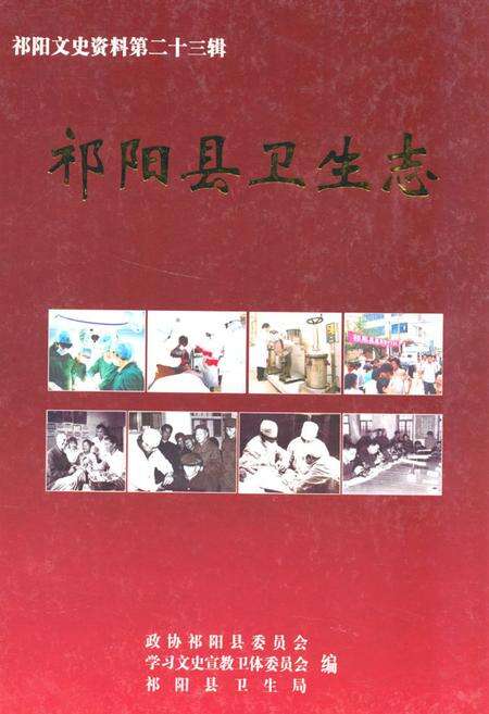 《祁阳县卫生志》.pdf电子版_湖南省志缩略图