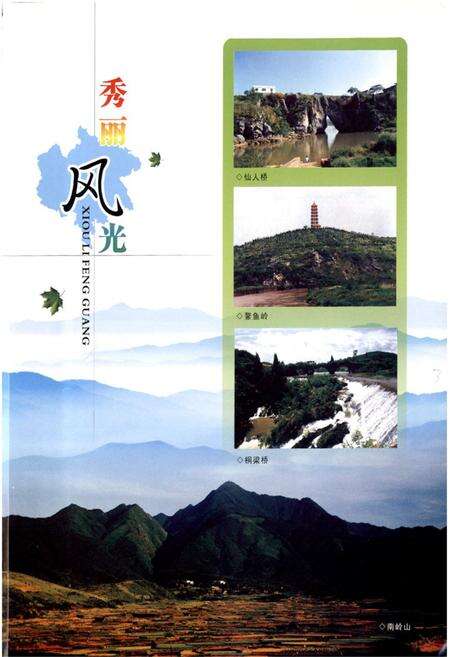《《嘉禾县志》(1989-2002)》.pdf电子版_湖南省志预览图5