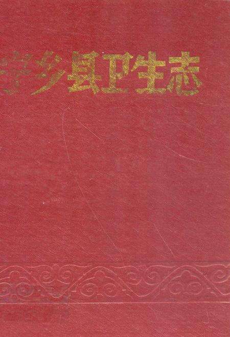 《《宁乡县卫生志》》.pdf电子版_湖南省志缩略图