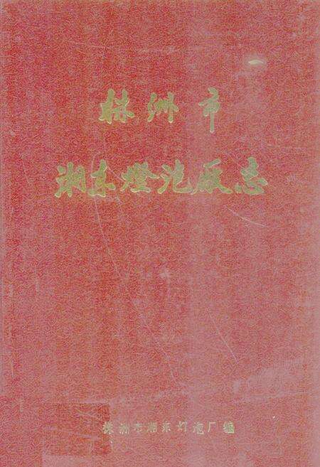 《《株洲市湘东灯泡厂厂志》》.pdf电子版_湖南省志缩略图