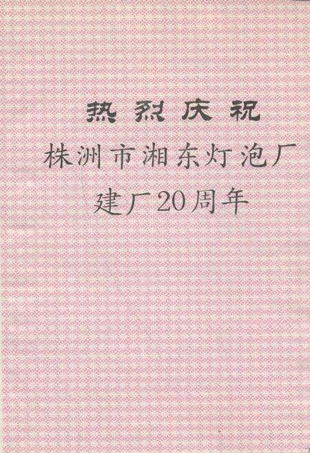 《《株洲市湘东灯泡厂厂志》》.pdf电子版_湖南省志预览图3