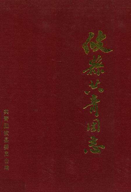 《攸县共青团志》.pdf电子版_湖南省志缩略图