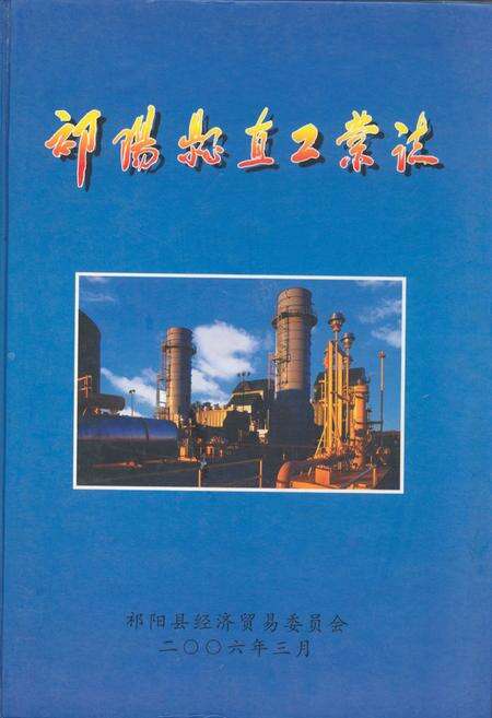 《祁阳县直工业志》.pdf电子版_湖南省志缩略图