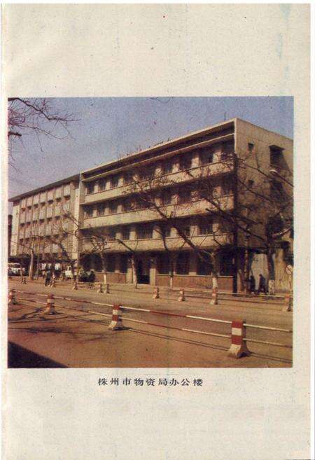 《株洲市物资局志(1958-1987)》.pdf电子版_湖南省志预览图4
