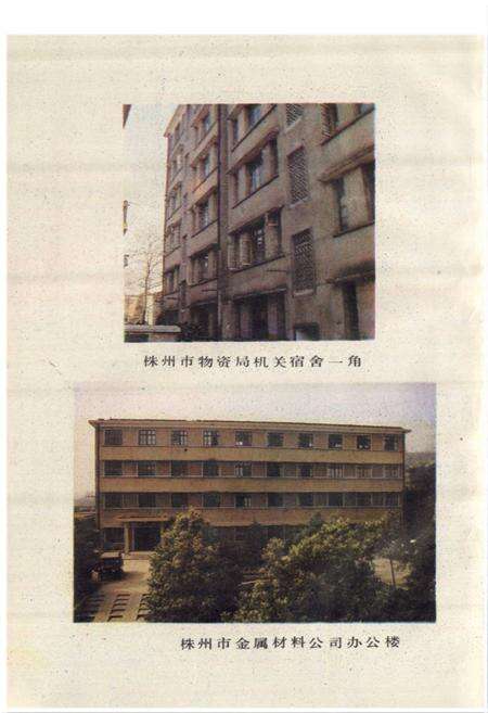 《株洲市物资局志(1958-1987)》.pdf电子版_湖南省志预览图5