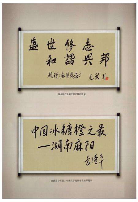 《麻阳县志(1978~2005)》.pdf电子版_湖南省志预览图5
