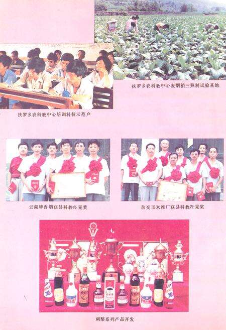 《《新晃侗族自治县·科学技术志》》.pdf电子版_湖南省志预览图4