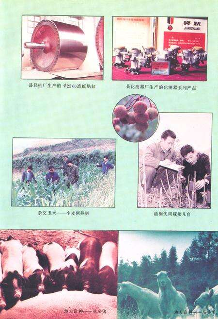 《《新晃侗族自治县·科学技术志》》.pdf电子版_湖南省志预览图5