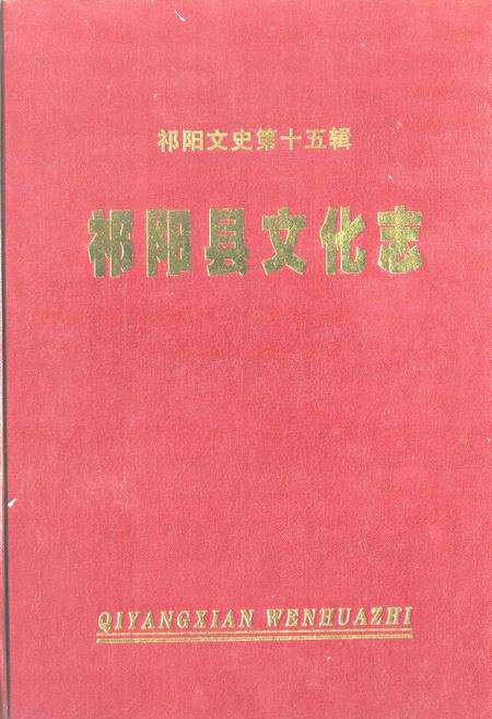《《祁阳县文化志》》.pdf电子版_湖南省志缩略图