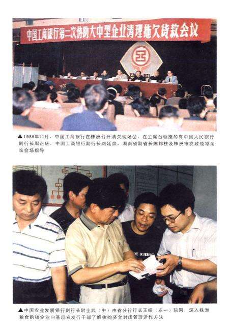 《株洲市金融志》.pdf电子版_湖南省志预览图3