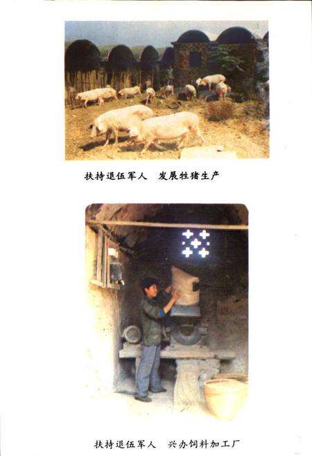 《《零陵县民政志》(1840年-1984年)》.pdf电子版_湖南省志预览图3