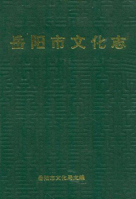 《《岳阳市文化志》》.pdf电子版_湖南省志缩略图