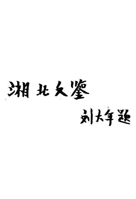 《《岳阳市文化志》》.pdf电子版_湖南省志预览图2