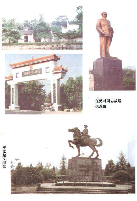 《《岳阳市文化志》》.pdf电子版_湖南省志预览图5