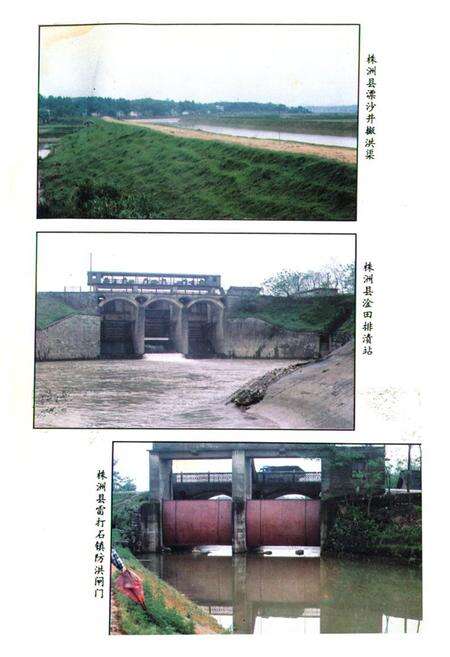 《《株洲市水利水电志》》.pdf电子版_湖南省志预览图5