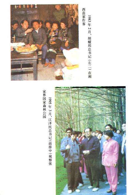 《湖南省志(第二十四卷)民族志》.pdf电子版_湖南省志预览图4