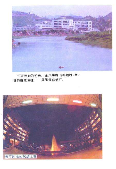 《《凤凰雪茄烟厂志》》.pdf电子版_湖南省志预览图2