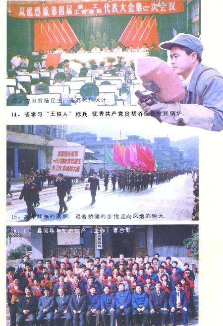 《《凤凰雪茄烟厂志》》.pdf电子版_湖南省志预览图5