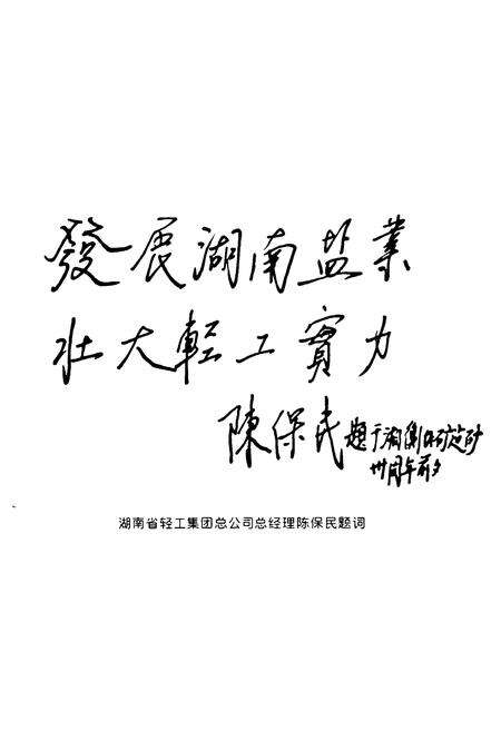 《《湘衡盐矿志(1969-1999)》》.pdf电子版_湖南省志预览图3