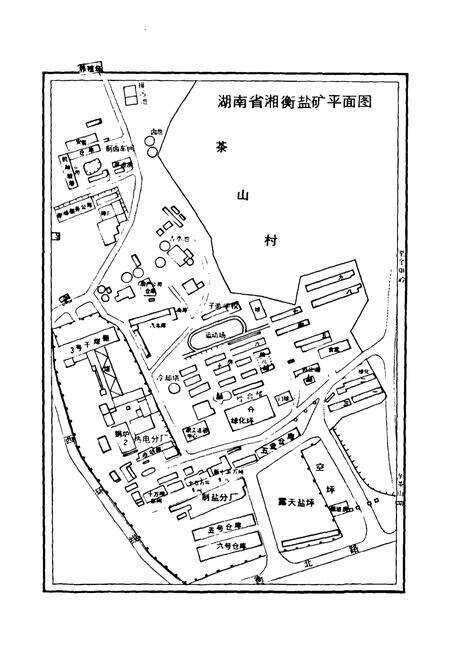 《《湘衡盐矿志(1969-1999)》》.pdf电子版_湖南省志预览图4