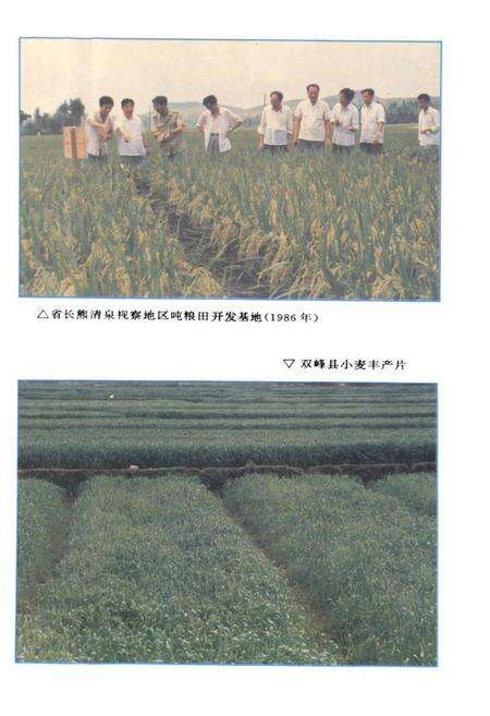 《娄底地区农业志》.pdf电子版_湖南省志预览图5