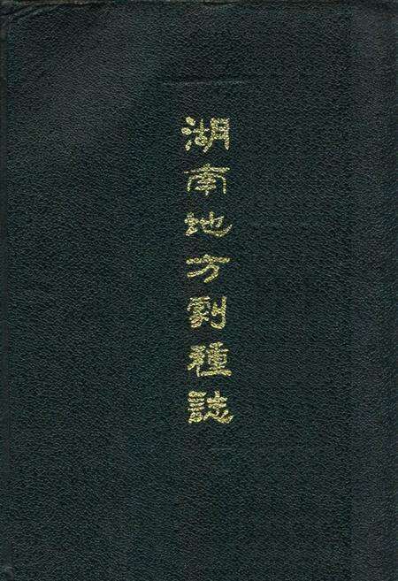 《湖南地方剧种志(三)》.pdf电子版_湖南省志缩略图