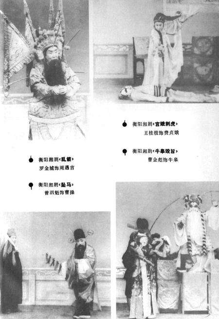 《湖南地方剧种志(三)》.pdf电子版_湖南省志预览图4