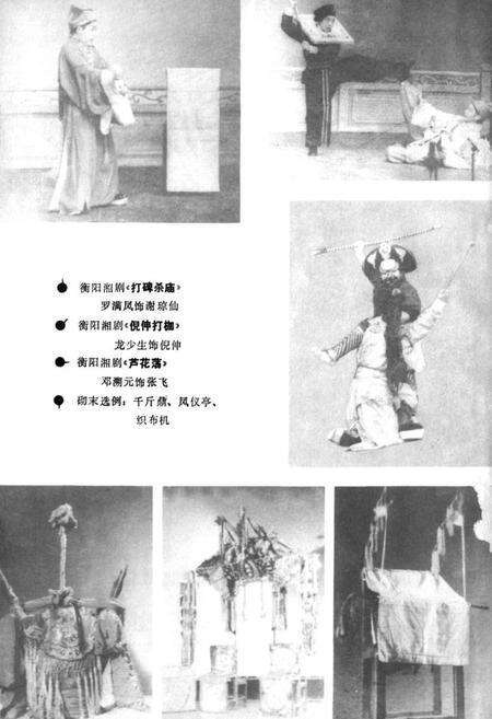《湖南地方剧种志(三)》.pdf电子版_湖南省志预览图5