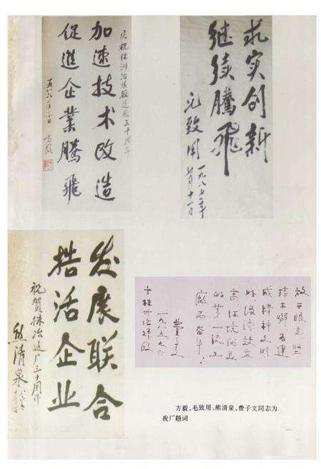 《株洲治炼厂志(第二卷)》.pdf电子版_湖南省志预览图2