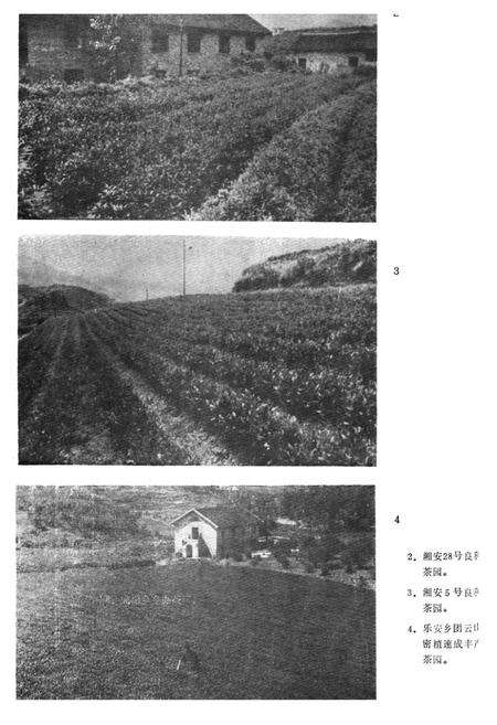 《《安化县茶叶志》》.pdf电子版_湖南省志预览图3