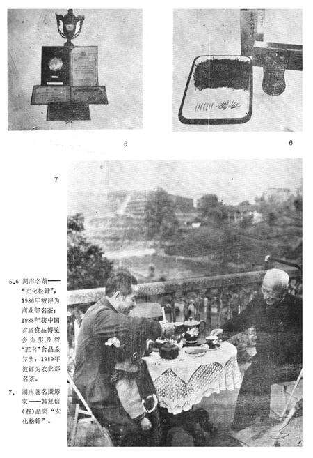 《《安化县茶叶志》》.pdf电子版_湖南省志预览图4