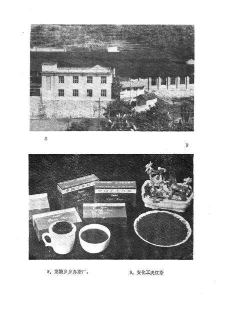 《《安化县茶叶志》》.pdf电子版_湖南省志预览图5