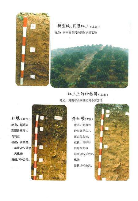 《《怀化地区土壤志》》.pdf电子版_湖南省志预览图5