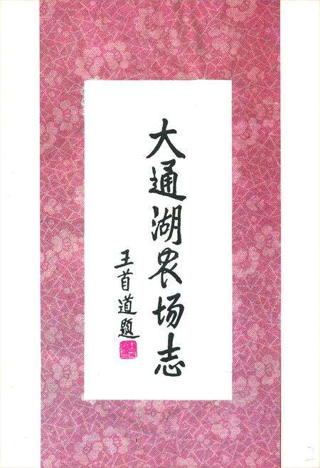 《《大通湖农场志》》.pdf电子版_湖南省志预览图2