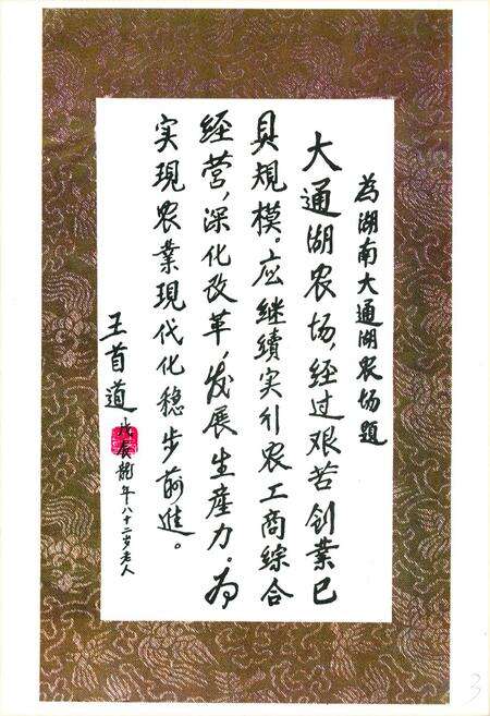 《《大通湖农场志》》.pdf电子版_湖南省志预览图3