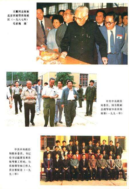 《《大通湖农场志》》.pdf电子版_湖南省志预览图4