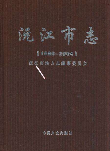 《《沅江市志》(1986-2004)》.pdf电子版_湖南省志缩略图