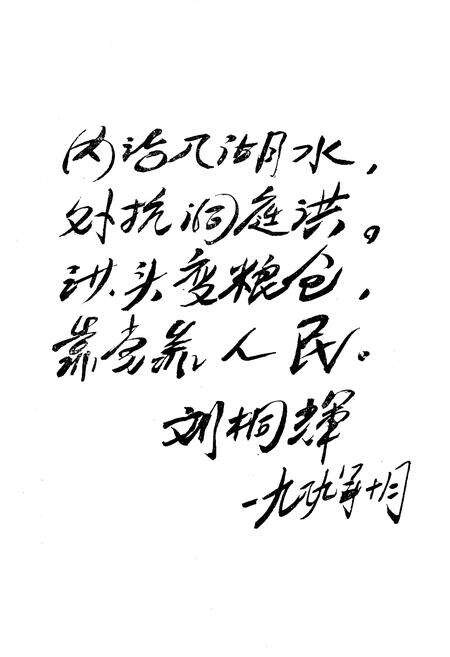 《《民主垸水利志》》.pdf电子版_湖南省志预览图4