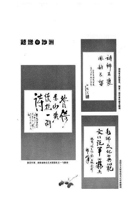 《《白沙洲村文化志》》.pdf电子版_湖南省志预览图5